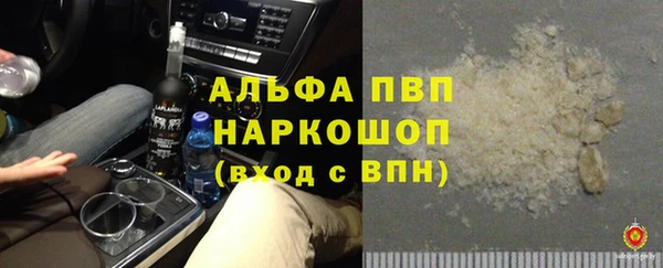 крисы Осинники