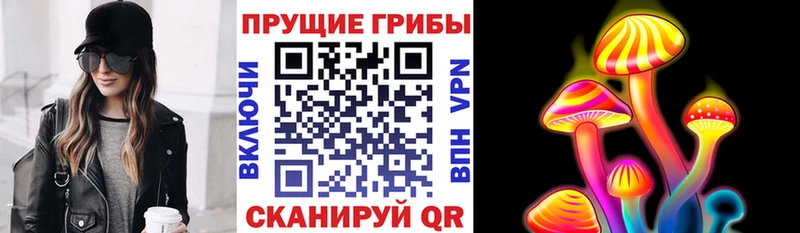 Галлюциногенные грибы Psilocybine cubensis  наркота  omg как зайти  Болхов 
