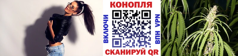 Канабис семена  Болхов 
